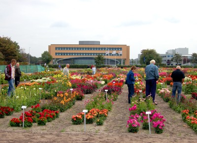 2007: Dahliashowtuin CNB